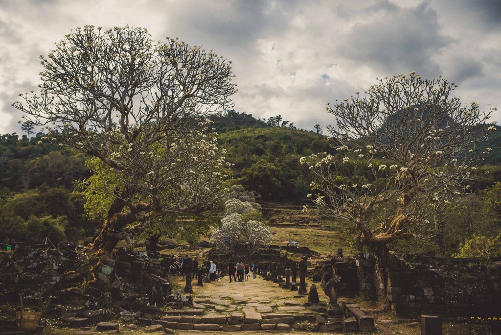 La montée aux vestiges du temple au milieu des arbres