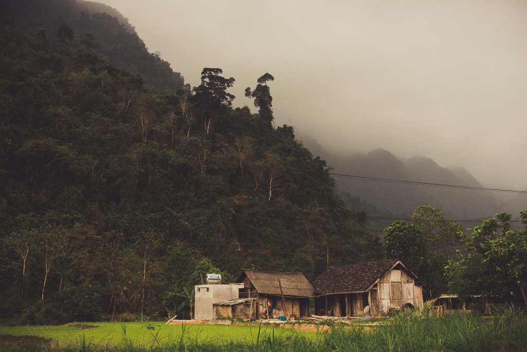 Les montagnes et les rizières à Ha giang