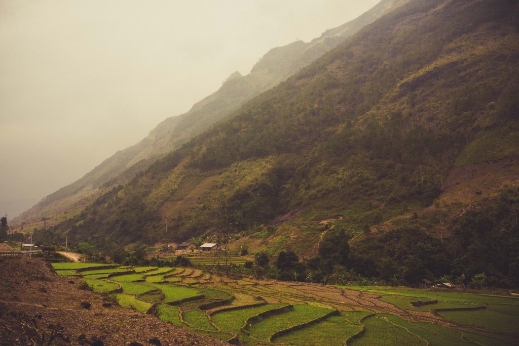 Les montagnes et les rizières à Ha giang