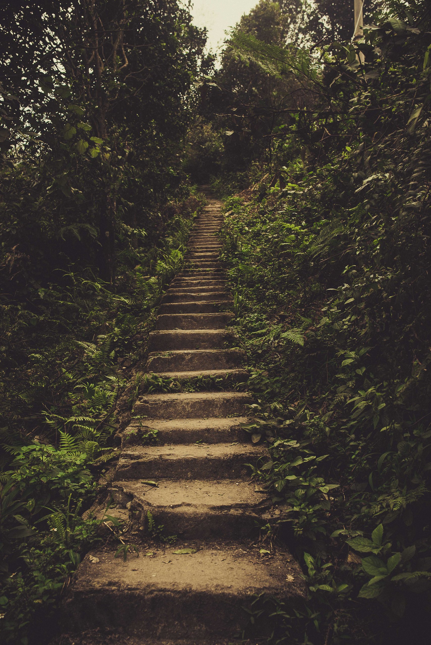 Escalier