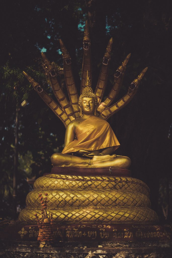 Statue dorée de Bouddha sous un arbre