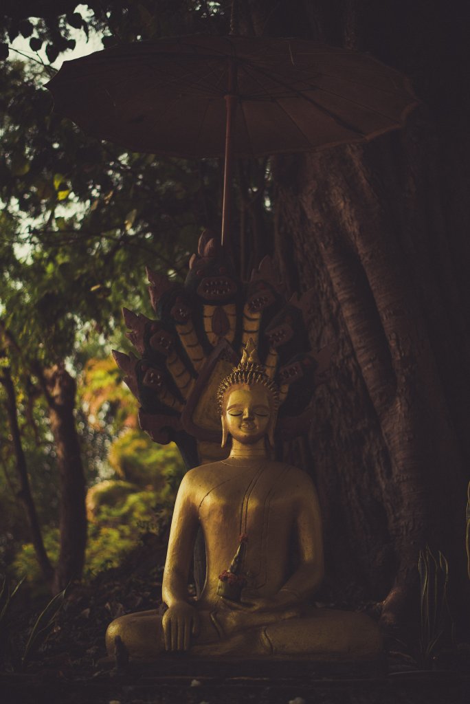 Statue dorée de Bouddha sous un arbre