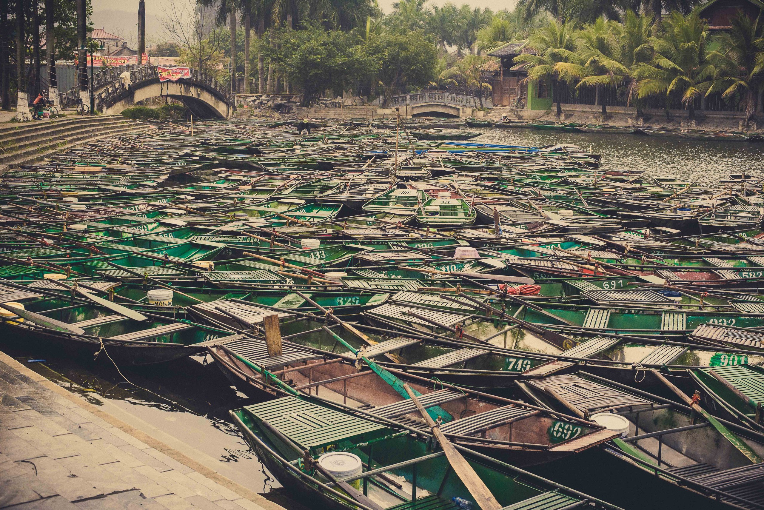 Ninh-029