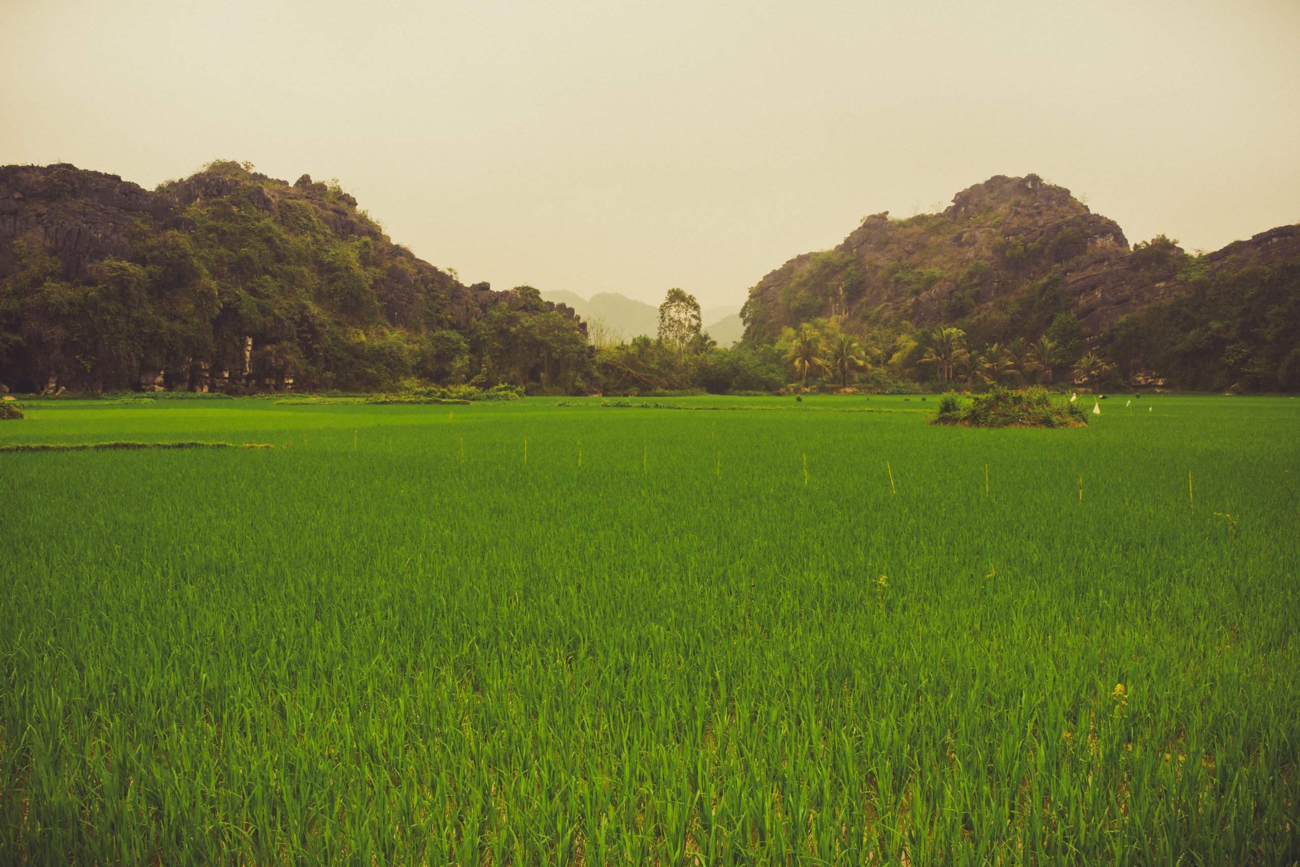 Ninh-048