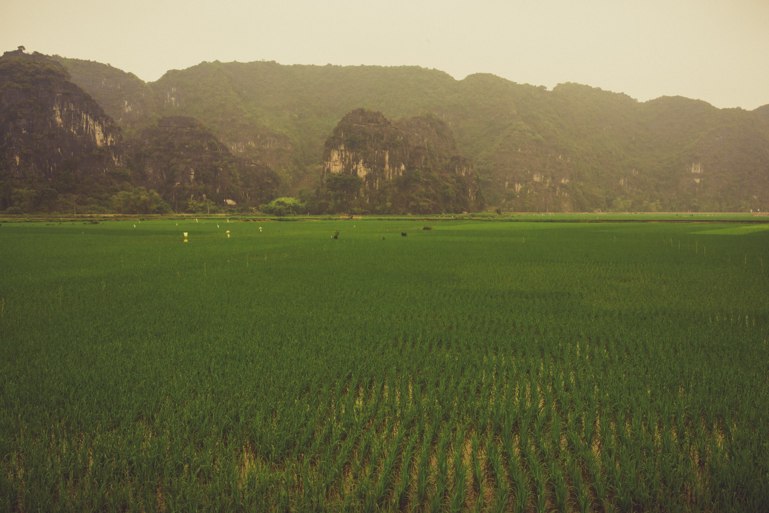 Ninh-054