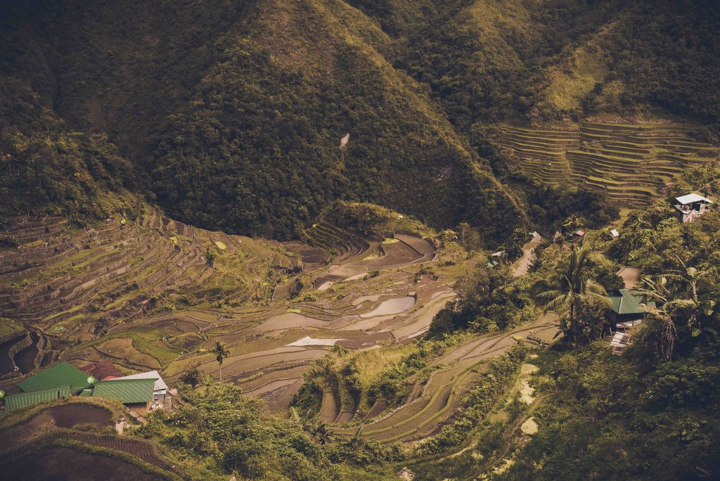 Rizières de Batad