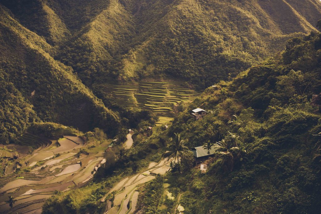Rizières de Batad