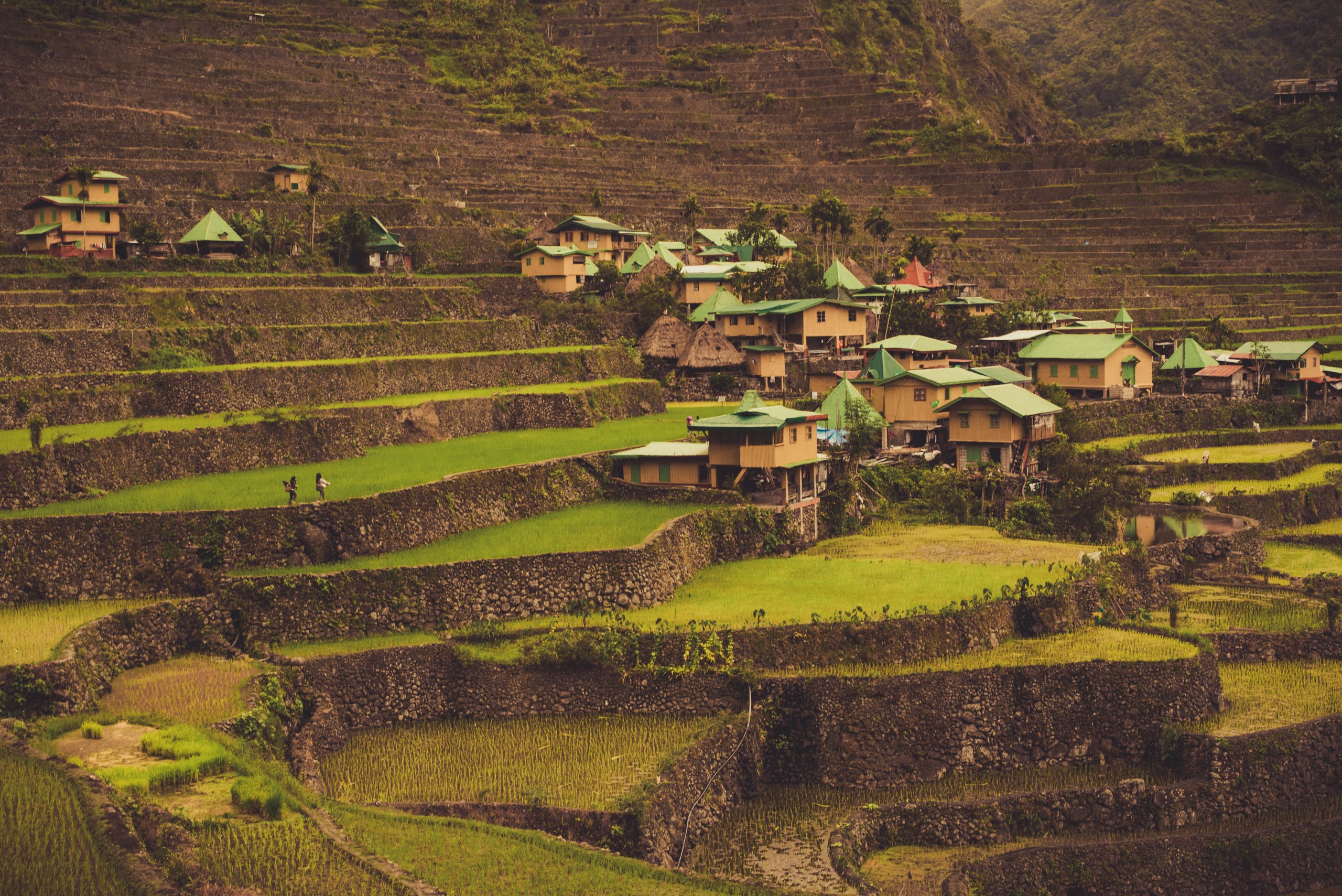 Rizières de Batad