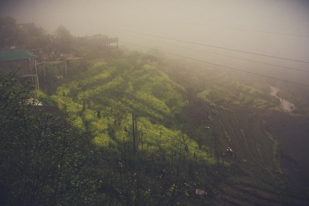 Brume à Sapa