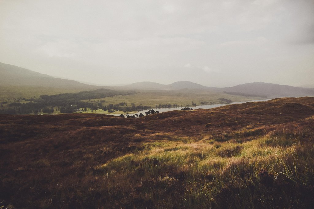 Paysage impressionniste somptueux