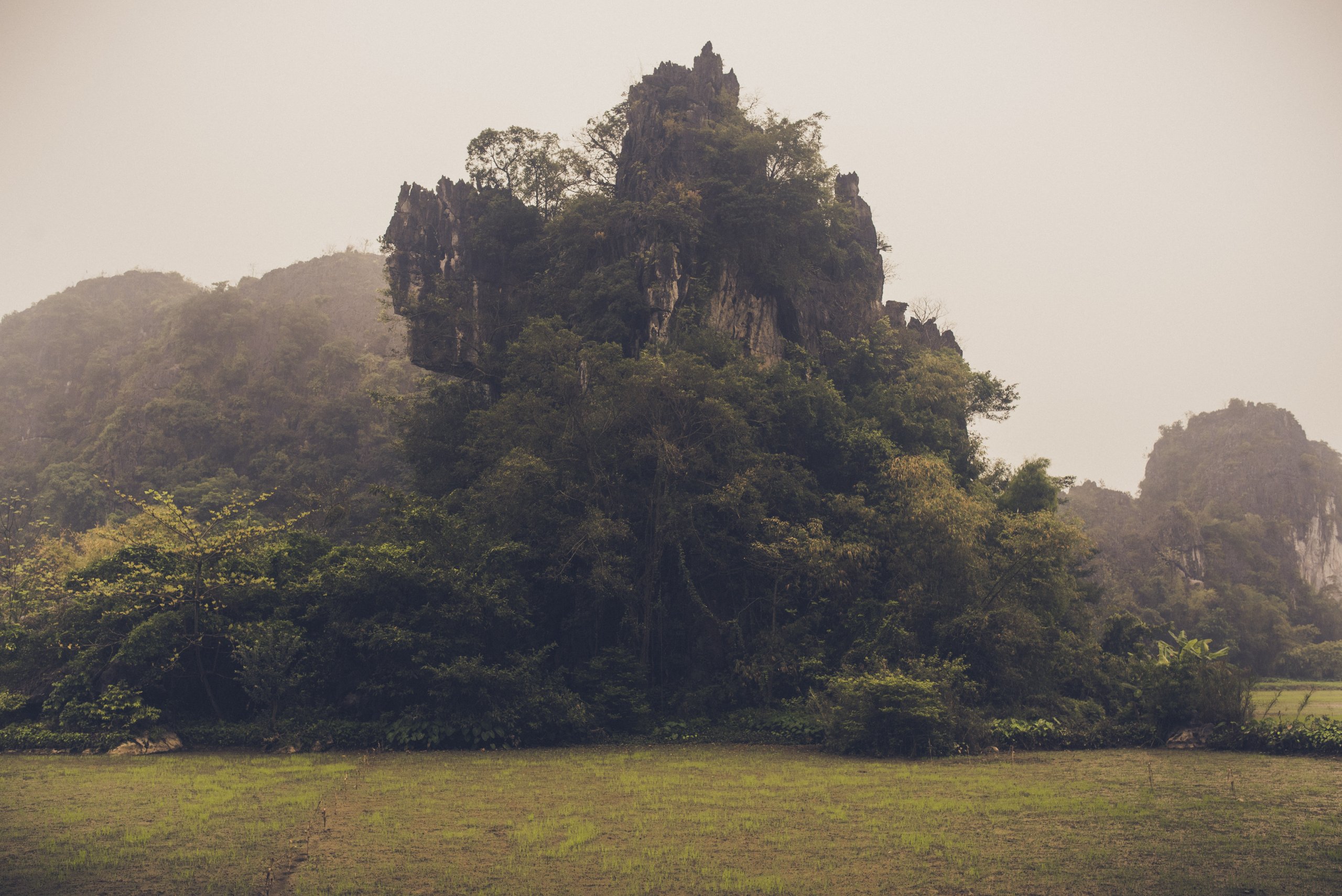 Ninh-057